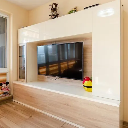 Center Nikola 公寓 *