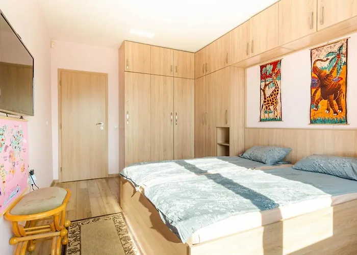 Center Nikola プロヴディフ